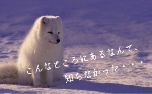 こんなところにあるなんて、知らなかった・・・