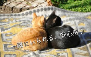 一緒にいられる、安心感♪