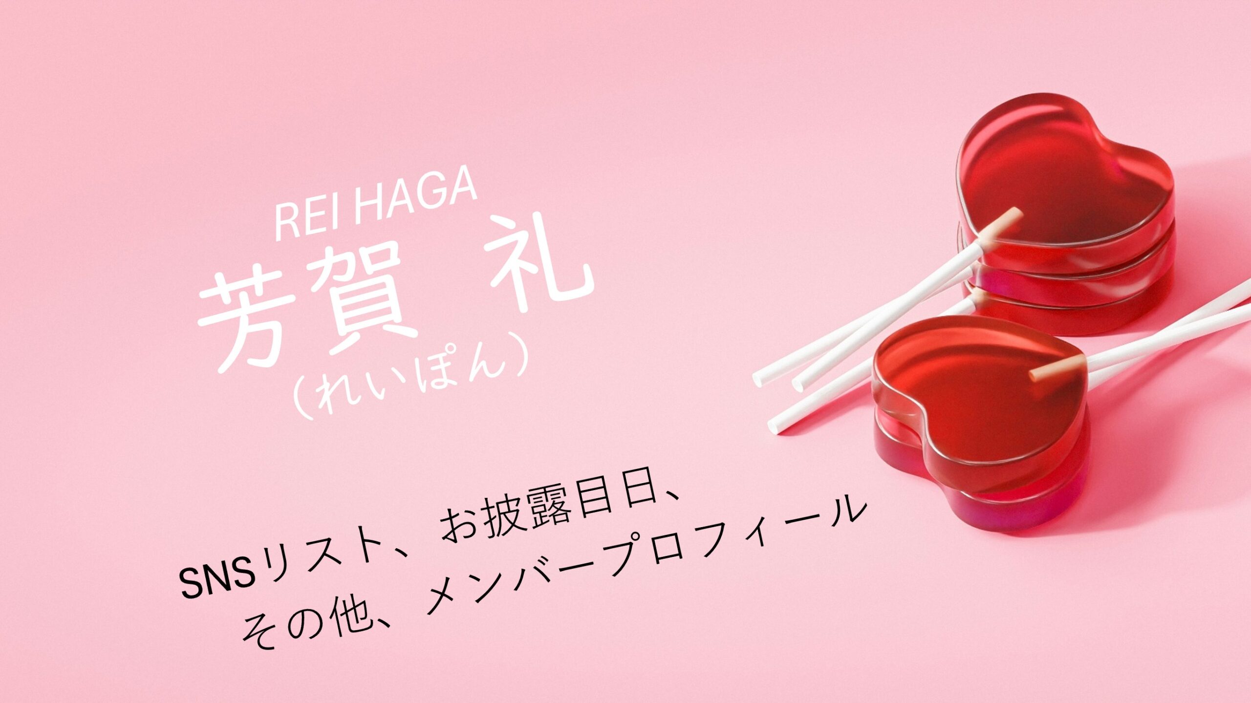 芳賀礼 プロフィール