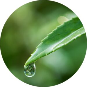 (アイコン画像)NMB48 スケジュールカレンダー 2025年10月・振り返り用)