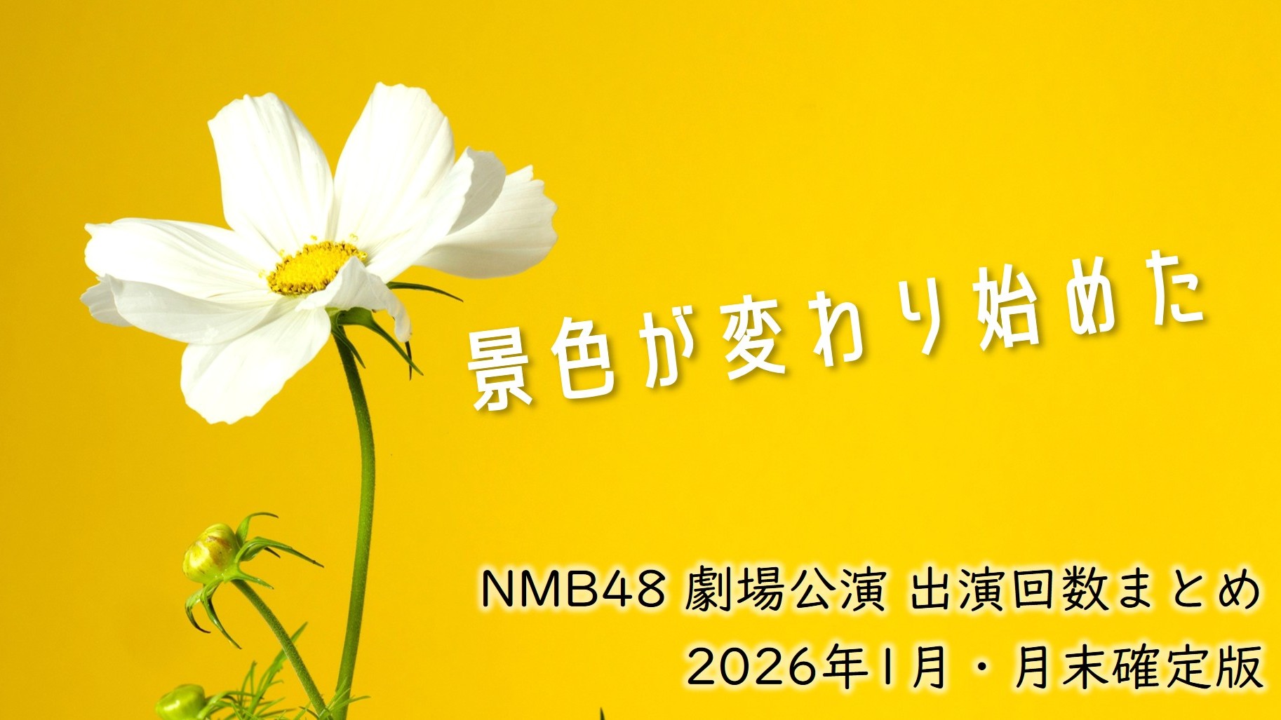 (サムネイル画像)NMB48 劇場公演 出演回数 2026年1月・月末確定版