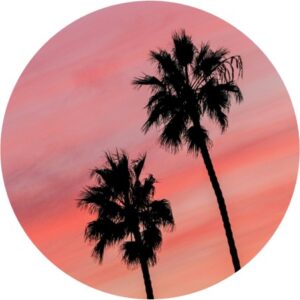 (文中挿入画像)NMB48 メンバー別 X(旧ツイッター)フォロワー数 2026年1月・前半中間報告