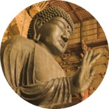 (文中挿入画像)NMB48 劇場公演 出演回数 2026年1月・中間報告