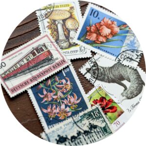 (文中挿入画像)NMB48 劇場公演 出演回数 2026年2月・月末確定版